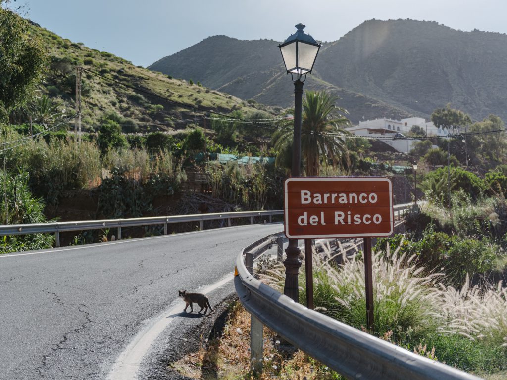 5 Great Hikes You Can Do in Gran Canaria with Kids Charco Azul