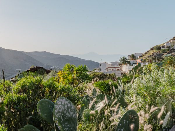 gran canaria - 5 hiking routes you can do with a baby