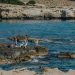 Cyprus with Kids - 5 Best Beaches of Famagusta Region