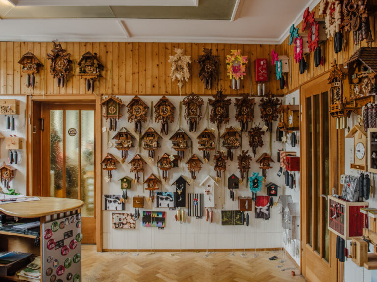 Black Forest With Kids Our Top Favourite Things to See and Do