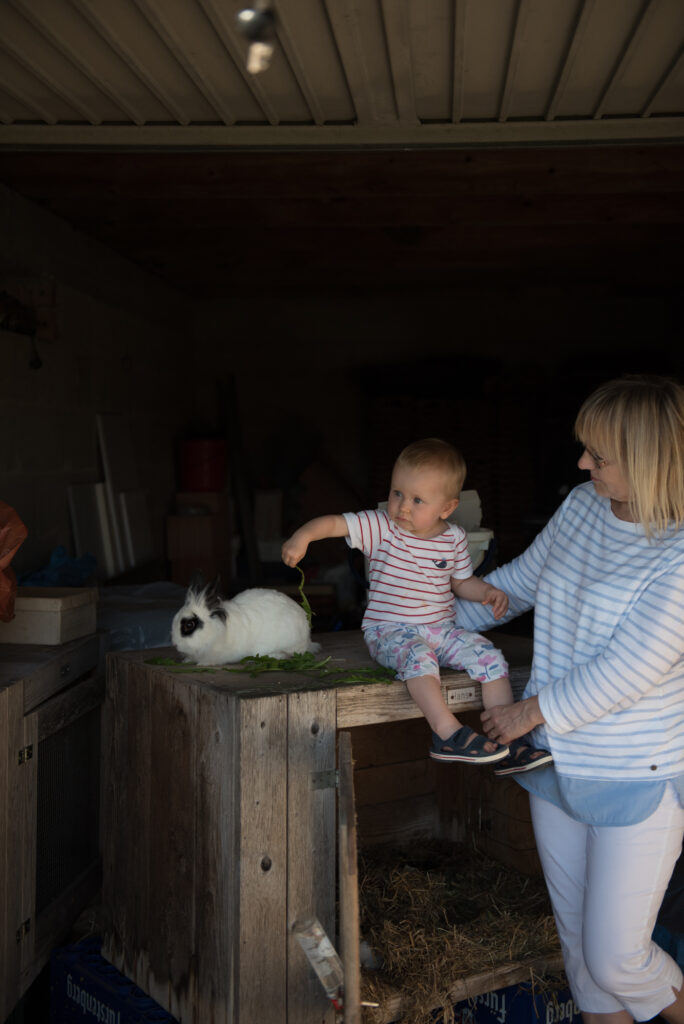 Staying on a Farm in the Black Forest With Kids 