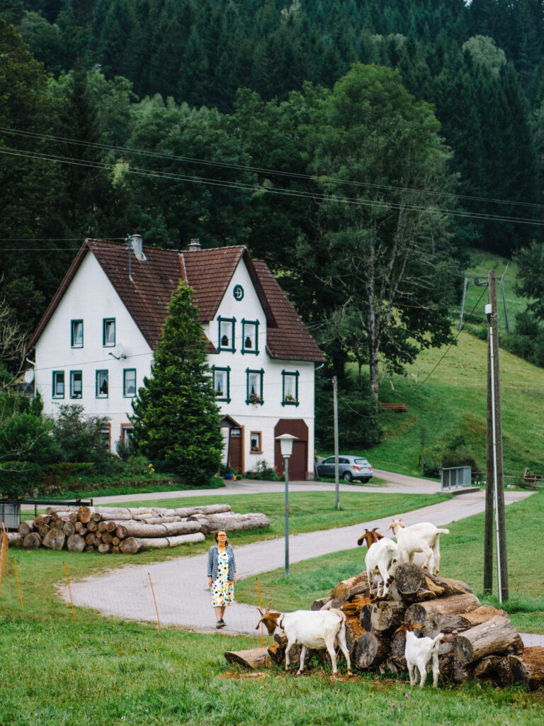 Staying on a Farm in the Black Forest With Kids 