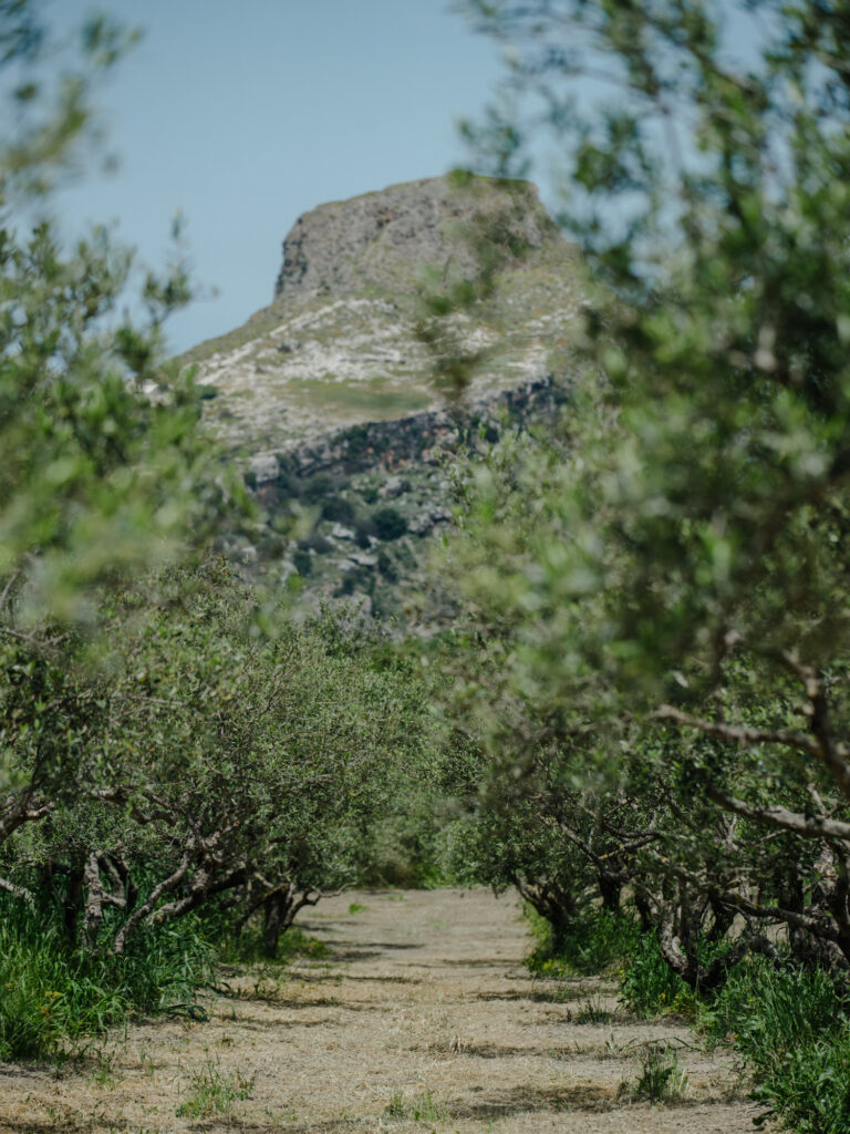 Astrikas Estate Biolea Western Crete