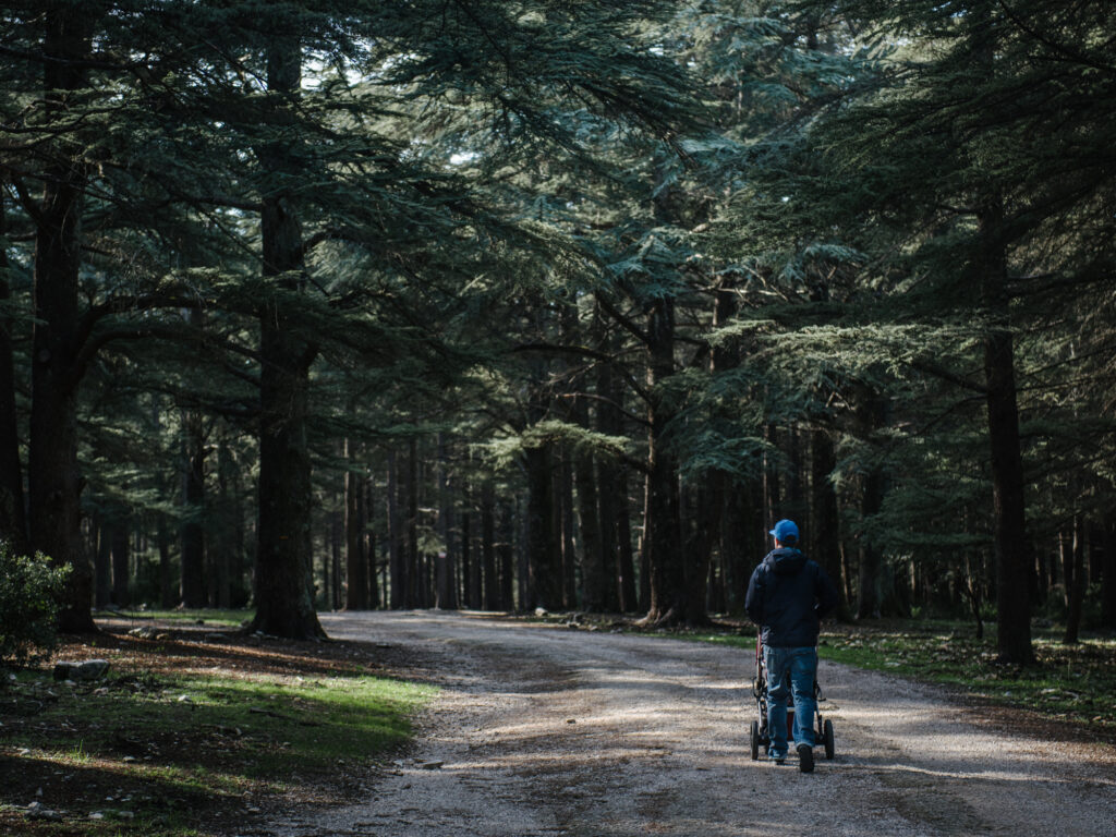 Visiting the largest Cedar forest of France.