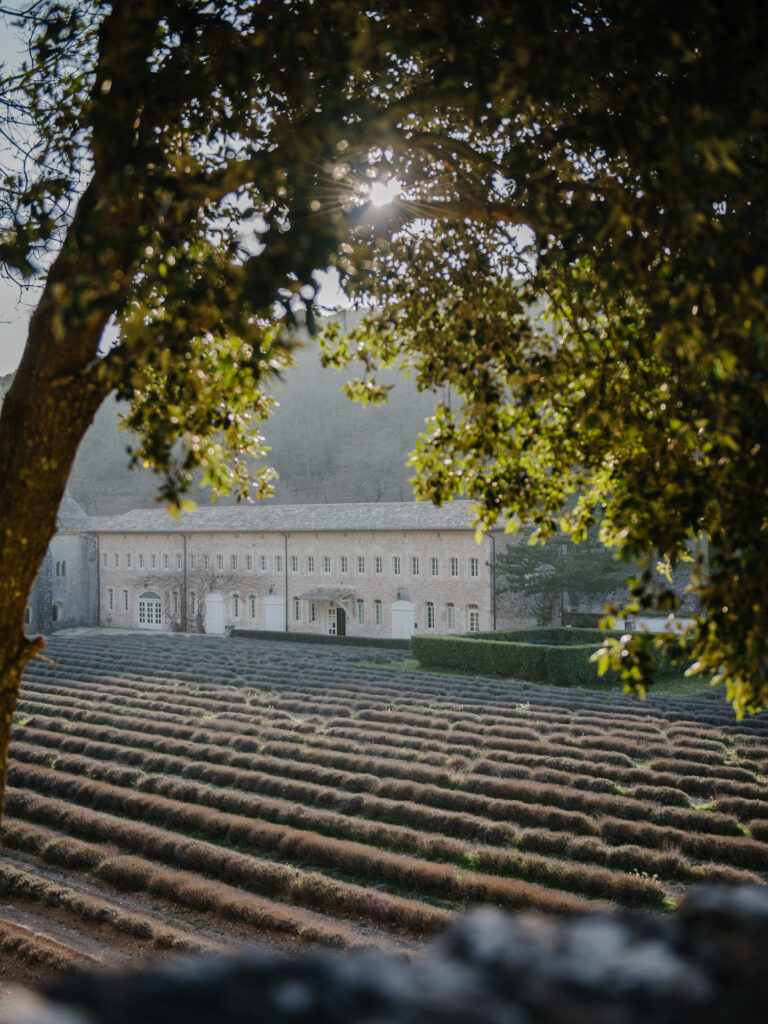 Things To See and Do Around Gordes - Notre dame de senanque abbey