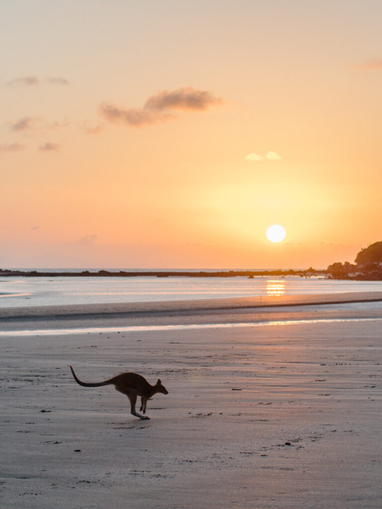 Cape Hillsborough National Park.