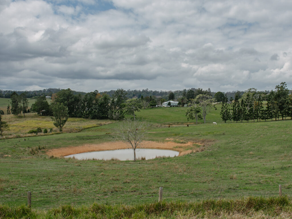 Queensland Road Trip Itinerary Day 12 - Hervey Bay to Noosa