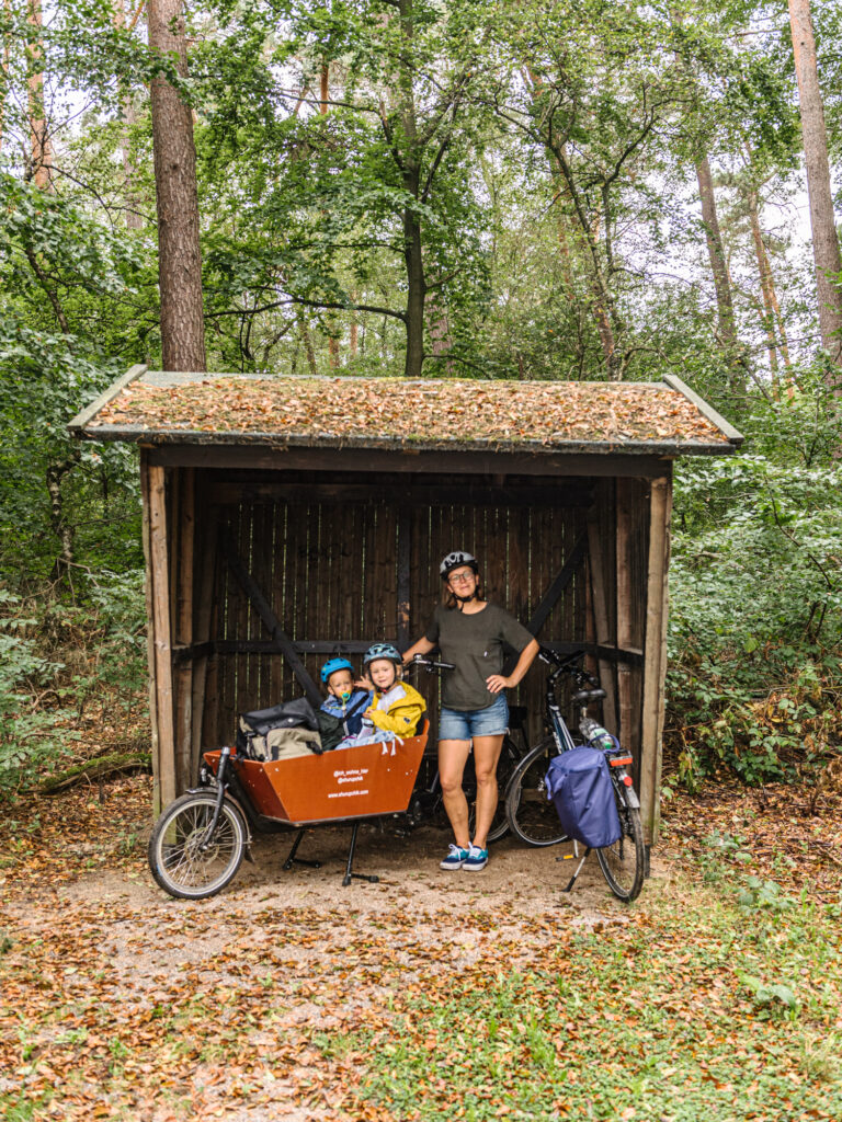 Our Complete Guide for Buying a Family Cargo Bike Guide