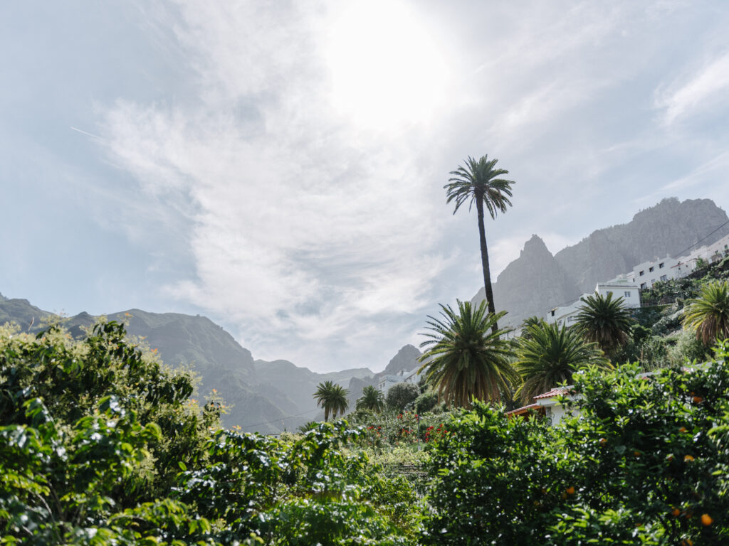 Explore the Valley of Agaete - Gran Canaria's Paradise on Earth 